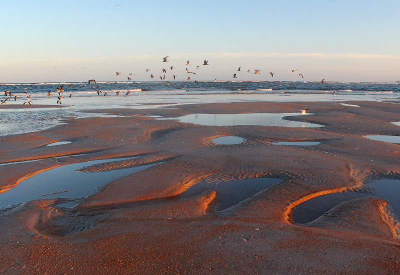 Matanzas Inlet