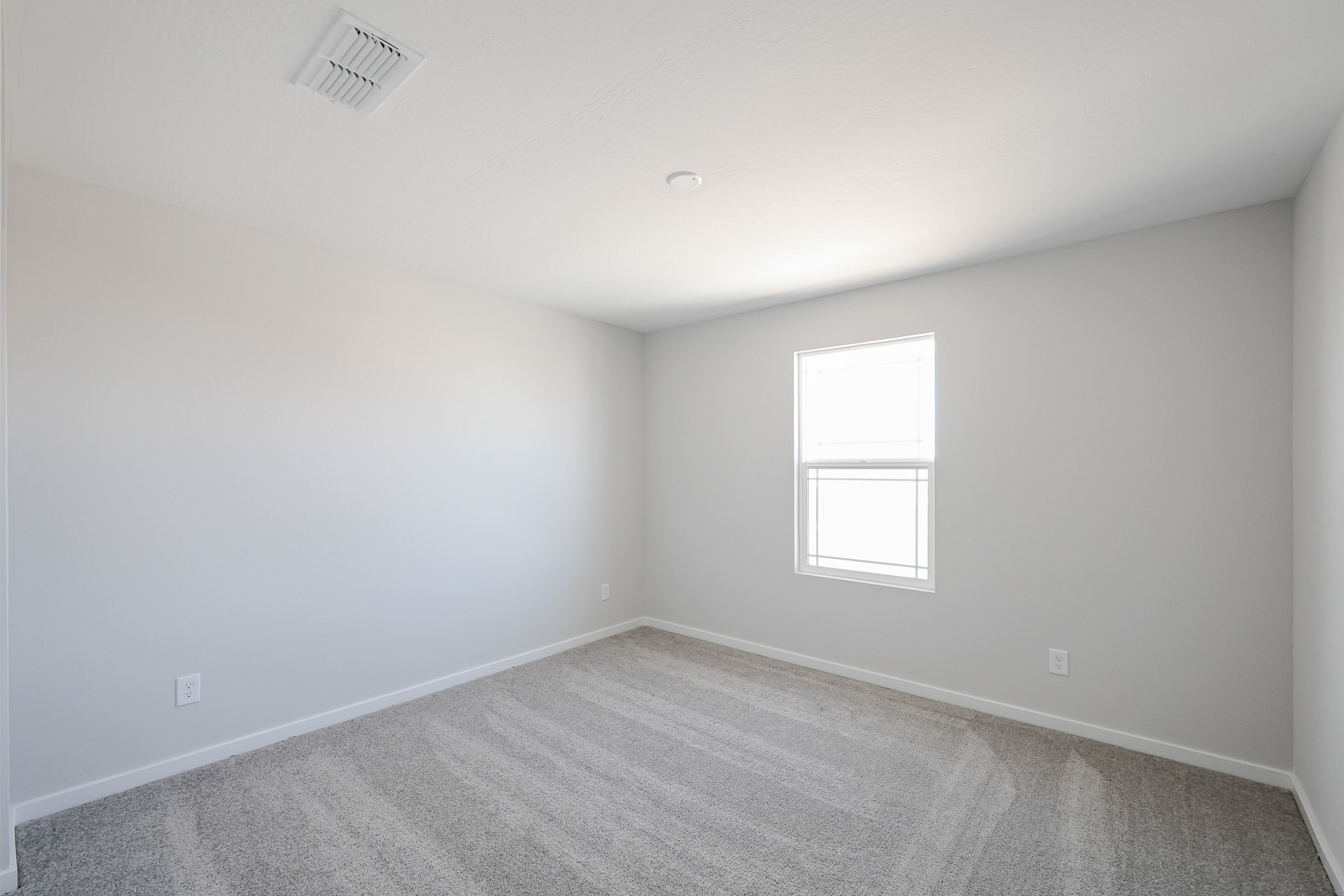 A room with a carpet and windows.