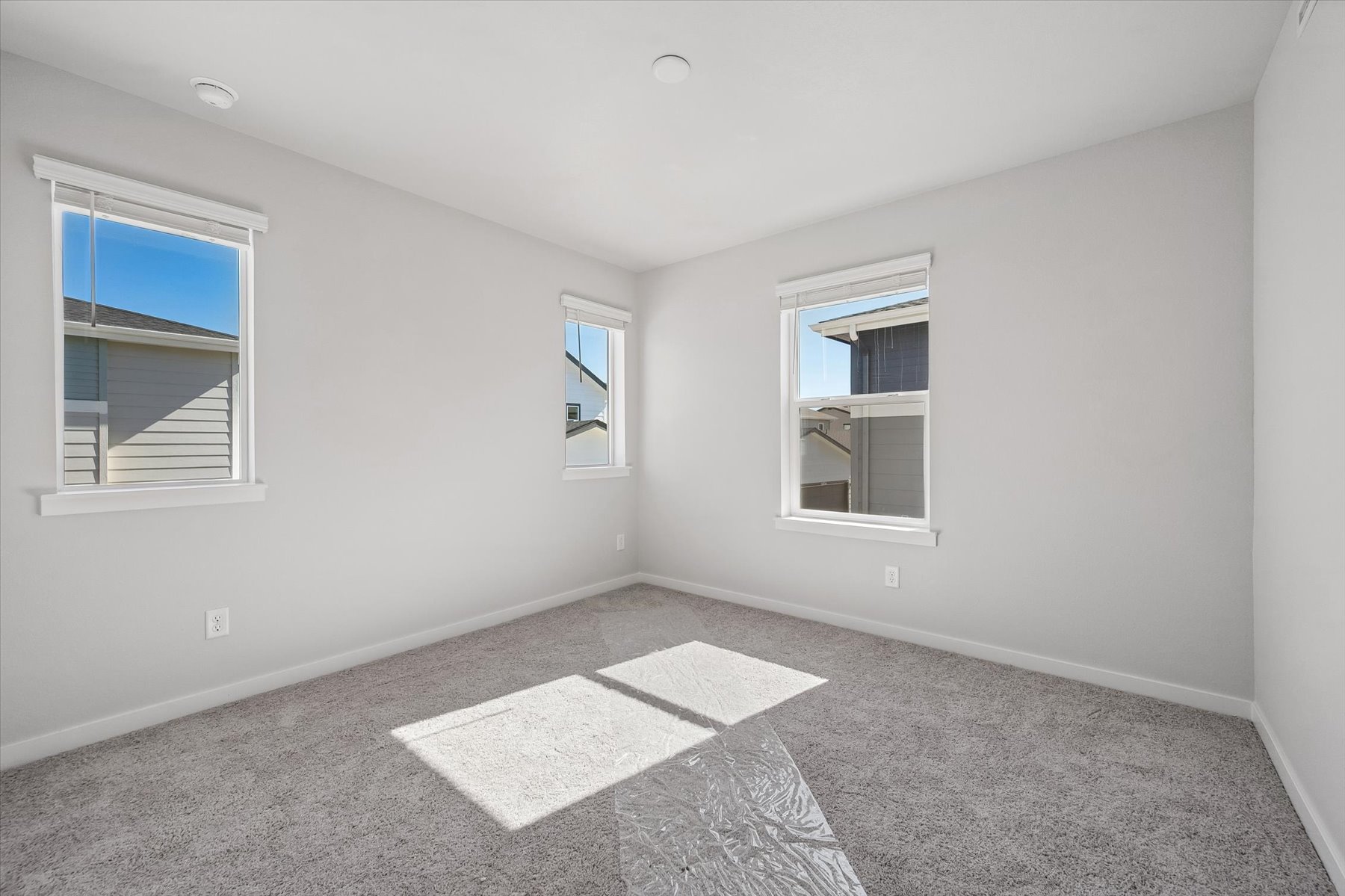 A room with windows and rugs.