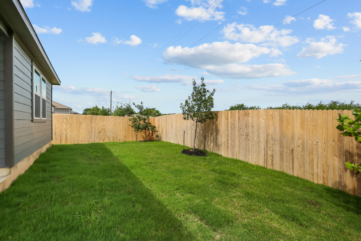 A fenced yard with a tree and a house.