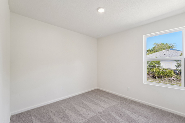 A room with a window and a rug.